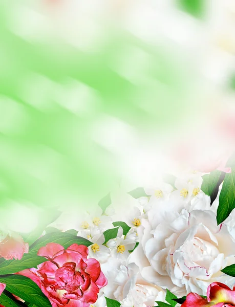 Spring flowers peonies and jasmine — Stock Photo, Image