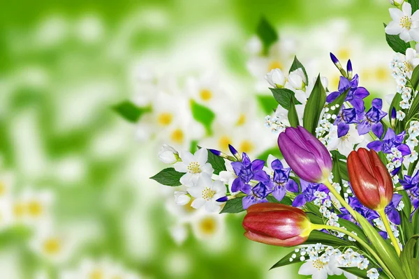 Jasmin blommor, iris och Liljekonvalj — Stockfoto