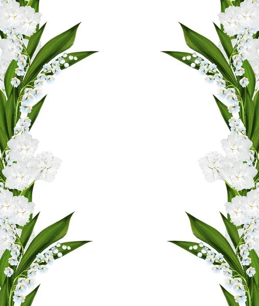 흰색 배경에 고립 된 보라색 꽃 — 스톡 사진