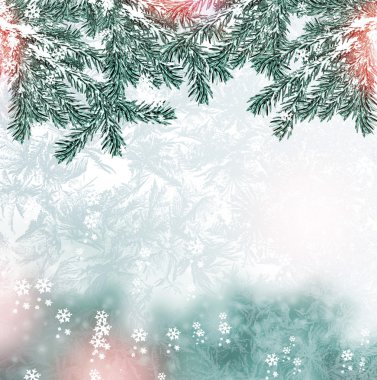 kış orman. Kış manzarası.