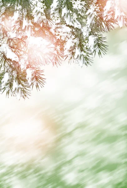 Bosque de invierno. Paisaje invierno . — Foto de Stock