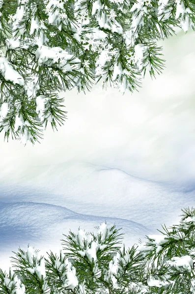 Bakgrund av snö. vinterlandskap — Stockfoto