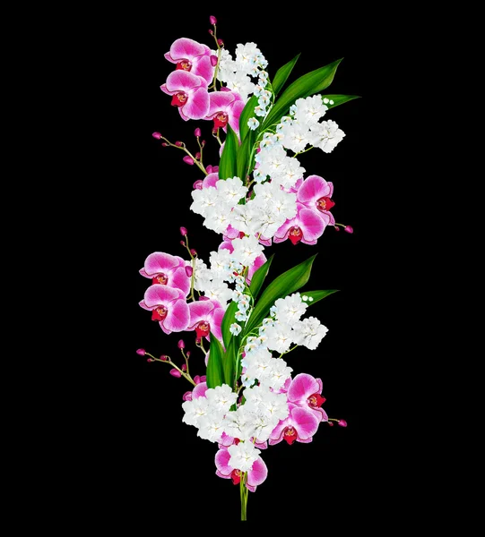Kwiaty storczyki i konwalie na białym tle na czarny bac — Zdjęcie stockowe