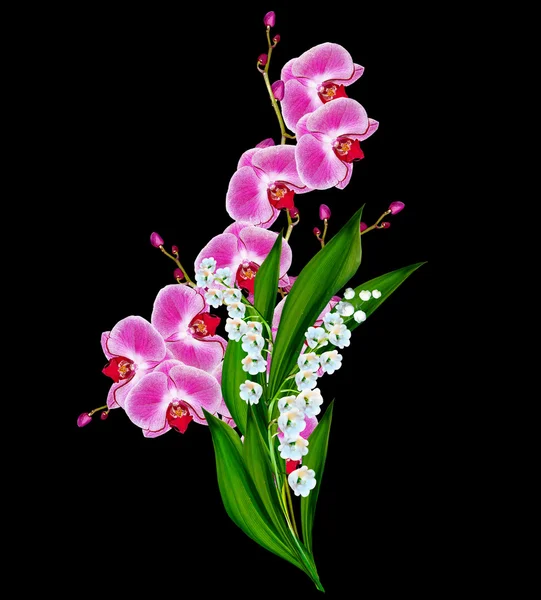Flowers orchids and lilies of the valley isolated on a black bac — Stock Photo, Image