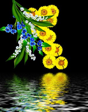 Siyah arka plan üzerine izole çiçekler