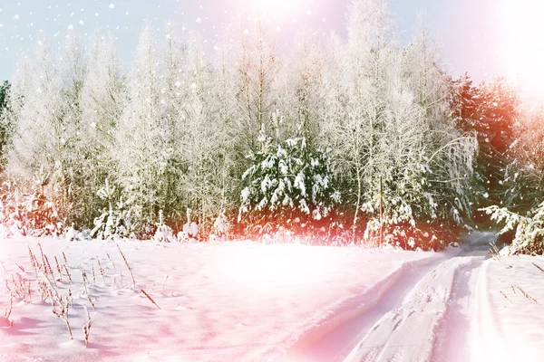 Chute de neige dans la forêt. paysage hivernal — Photo