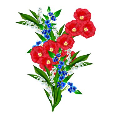 Mallow çiçekleri beyaz arkaplanda izole edilmiş