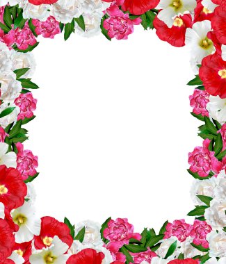 Beyaz arka plan üzerinde izole Şakayık çiçekleri