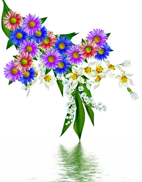 Bahar beyaz zemin üzerine izole kardelen çiçek — Stok fotoğraf