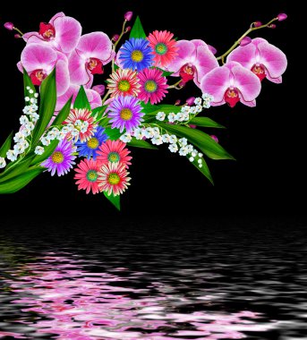 Siyah bir arka plan üzerinde izole orkide çiçekler.