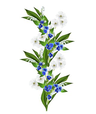 Beyaz arka plan üzerinde izole mor çiçekler