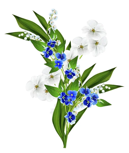 흰색 배경에 고립 된 보라색 꽃 — 스톡 사진
