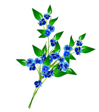 Unut beni-beyaz arka plan üzerinde izole çiçeği