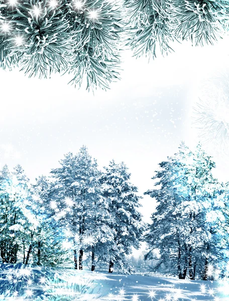 Winter landscape. Background. snow — Stock Photo, Image