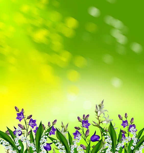 Floral achtergrond van bloemen bluebells — Stockfoto