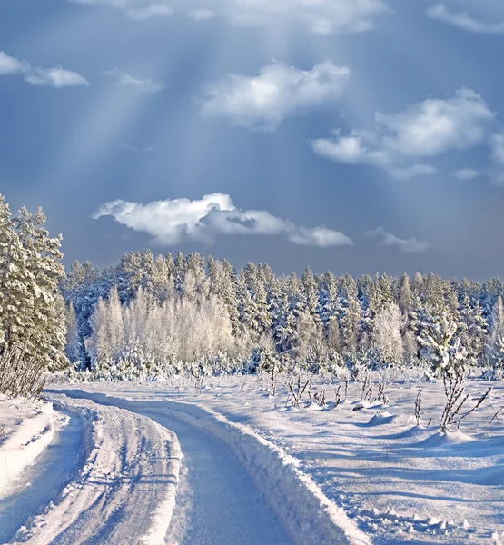 冬天的森林。冬季景观. — 图库照片
