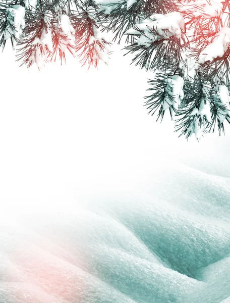 Winterlandschap. Achtergrond. sneeuw — Stockfoto