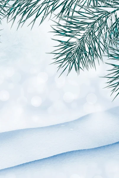 Winterlandschaft. Hintergrund. Schnee. Weihnachtsbaum — Stockfoto