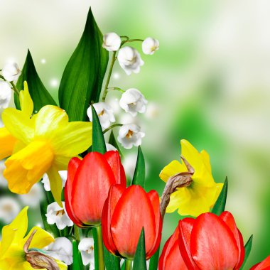 Yaz manzara. Lily vadi. Nergis