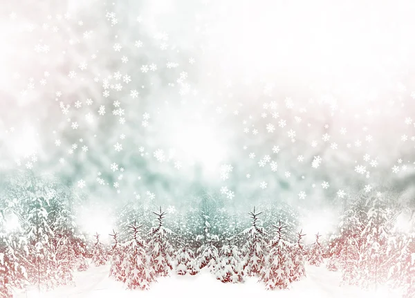 Winter Forest. Winter landscape. — Stock Photo, Image