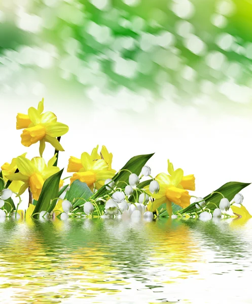 Lily of the valley. Narcissus — Stockfoto