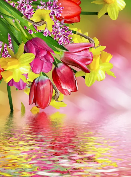 Spring flowers daffodils and tulips — Stock Photo, Image