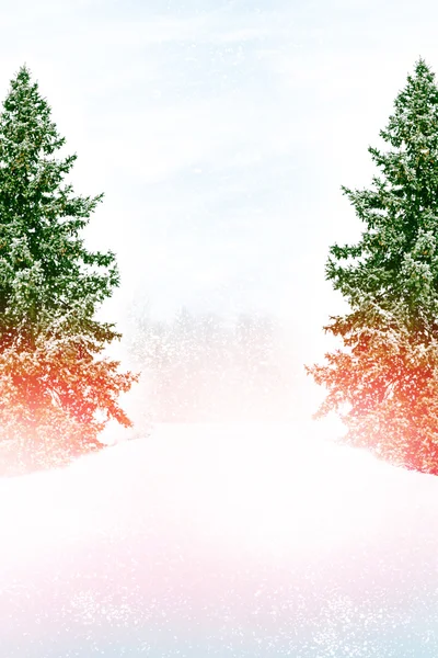 Winter Forest. Winter landscape. — Stock Photo, Image