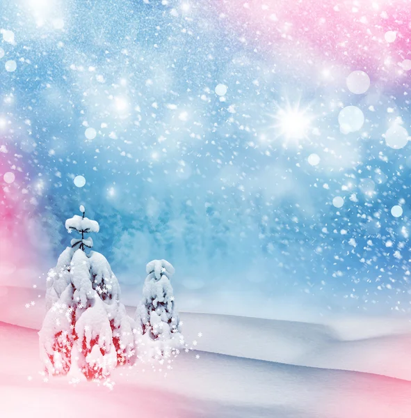 Kış orman. Kış manzarası. Yeni yıl kartı — Stok fotoğraf