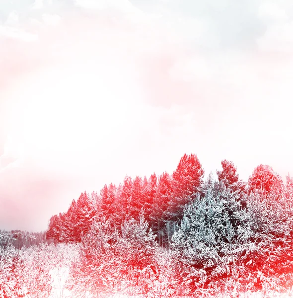 Nevadas en el bosque. paisaje de invierno — Foto de Stock