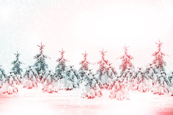 Winter forest. Winter landscape. — Stock Photo, Image