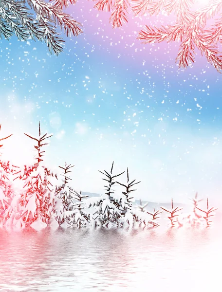 Winter landscape. Background. snow — Stock Photo, Image
