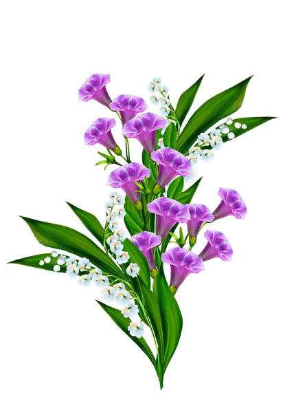 Niebieskie kwiaty dzwonek na białym tle — Zdjęcie stockowe
