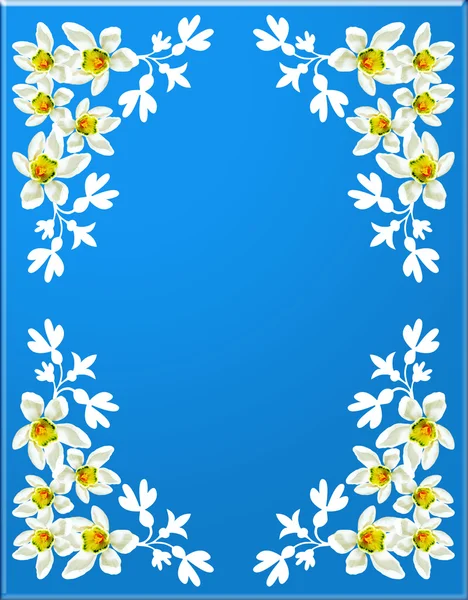 ดอกไม้สีขาวของหิมะตกบนพื้นหลังสีฟ้า — ภาพถ่ายสต็อก