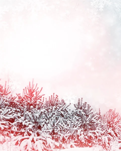 Background of snow. Winter landscape. Photo. — Stock Photo, Image