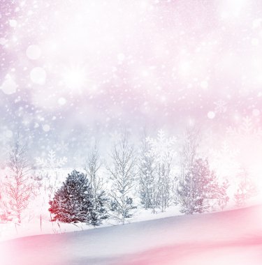 kış orman. Kış manzarası.