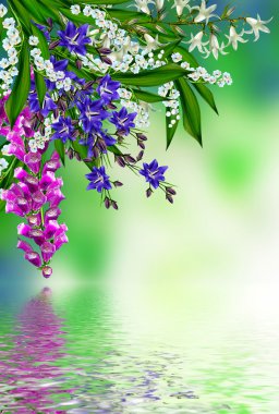 Yaz. Çiçekler çan ve vadideki zambak.