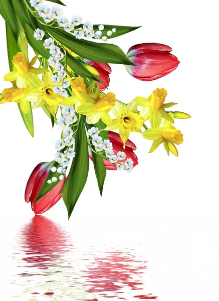 Boeket van de lente bloemen op een witte achtergrond — Stockfoto