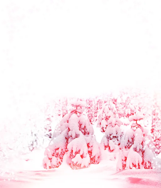 Kış orman. Kış manzarası — Stok fotoğraf