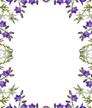 Beyaz arkaplanda izole edilmiş çan çiçeği