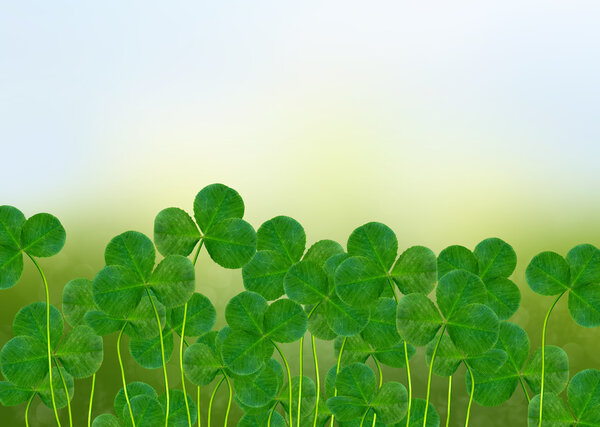 Летний пейзаж. Мэдоу. Клевер
.