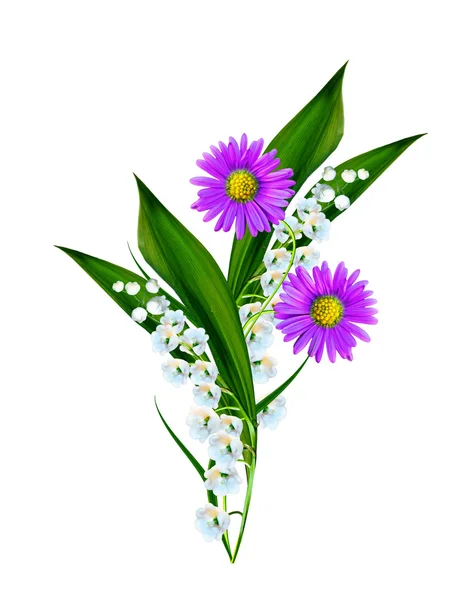 Sedmikrásky léto bílá květina izolované na bílém pozadí — Stock fotografie