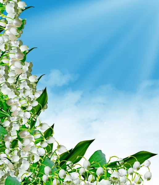 Bloemen lelietje-van-dalen en blauwe hemel met wolken — Stockfoto