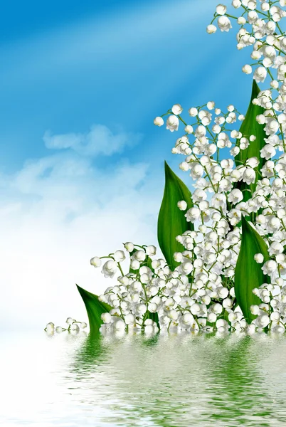 Flowers lily of the valley and blue sky with clouds — Stock Photo, Image