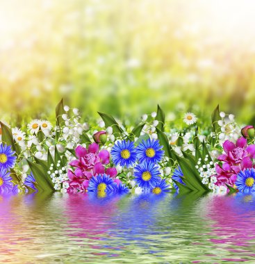 Arka planını çiçekler. hassas bahar çiçekleri