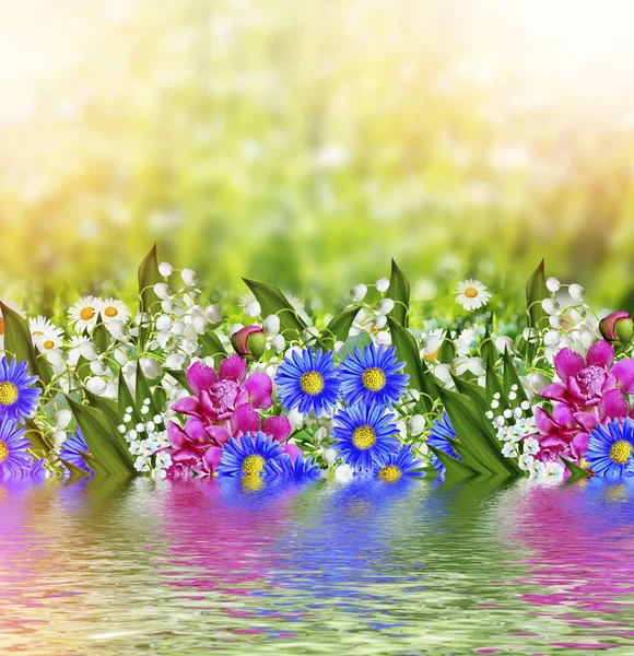 Achtergrond van bloemen. delicate Lentebloemen — Stockfoto