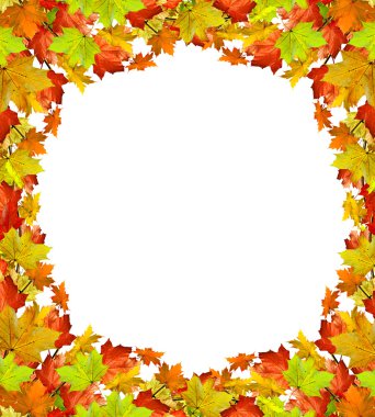 sonbahar yaprakları beyaz arkaplanda izole