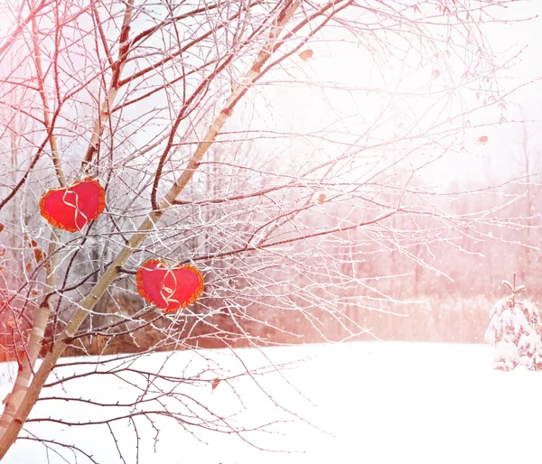 Bäume im Schnee. Herz. — Stockfoto