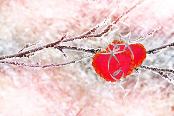 Árvores na neve. Coração . — Fotografia de Stock