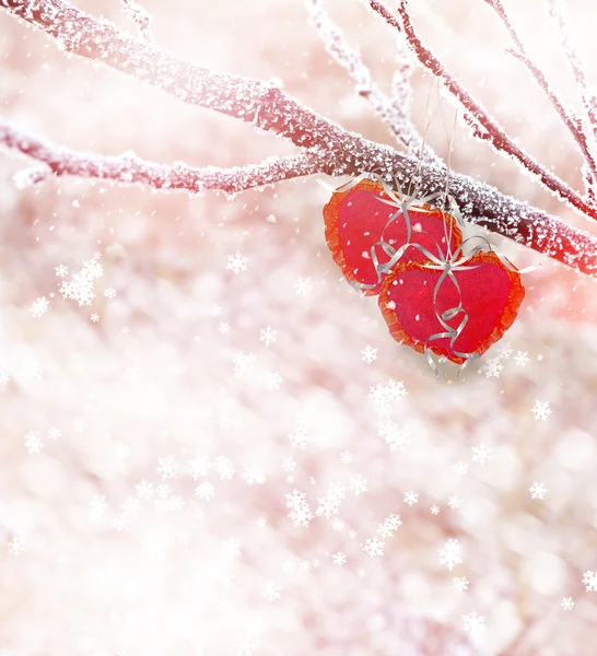 ป่าฤดูหนาว หัวใจ — ภาพถ่ายสต็อก