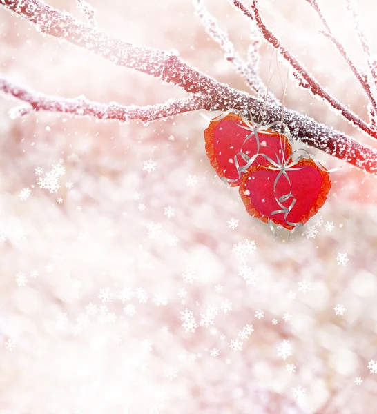 Foresta invernale. cuore — Foto Stock